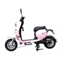 Pocket Bike Mini Moto MOPED MOPED ELECTRIQUE